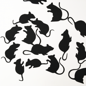 http://www.littlegift.com.au/1302-thickbox/mouse.jpg