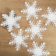 Frozen Snowflake