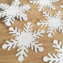 Frozen Snowflake