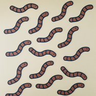 Worm Confetti