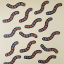 Worm Confetti