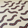 Worm Confetti