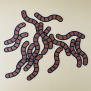 Worm Confetti