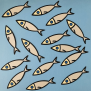 Sardine Confetti