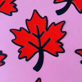 http://www.littlegift.com.au/3011-thickbox/maple-leaf-confetti.jpg