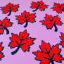 Maple Leaf Confetti