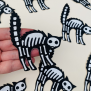 Scary Skeleton Cat
