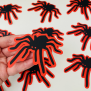 Red Spider Confetti