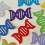 DNA Colourful Confetti