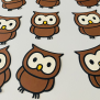 Owl Confetti