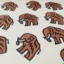 Mammoth Confetti