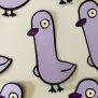 Pigeon Confetti