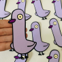 Pigeon Confetti