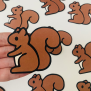 Squirrel Confetti
