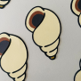 Sea Shell Confetti